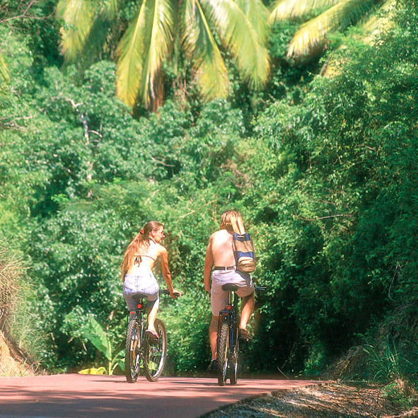 Recorrer la ciclopista juntos – IXTAPA –ZIHUATANEJO, AVENTURA Y ECOTURISMO